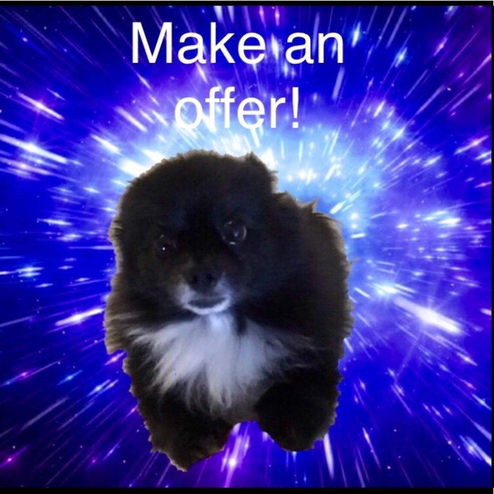 Reasonable offers welcomed :)